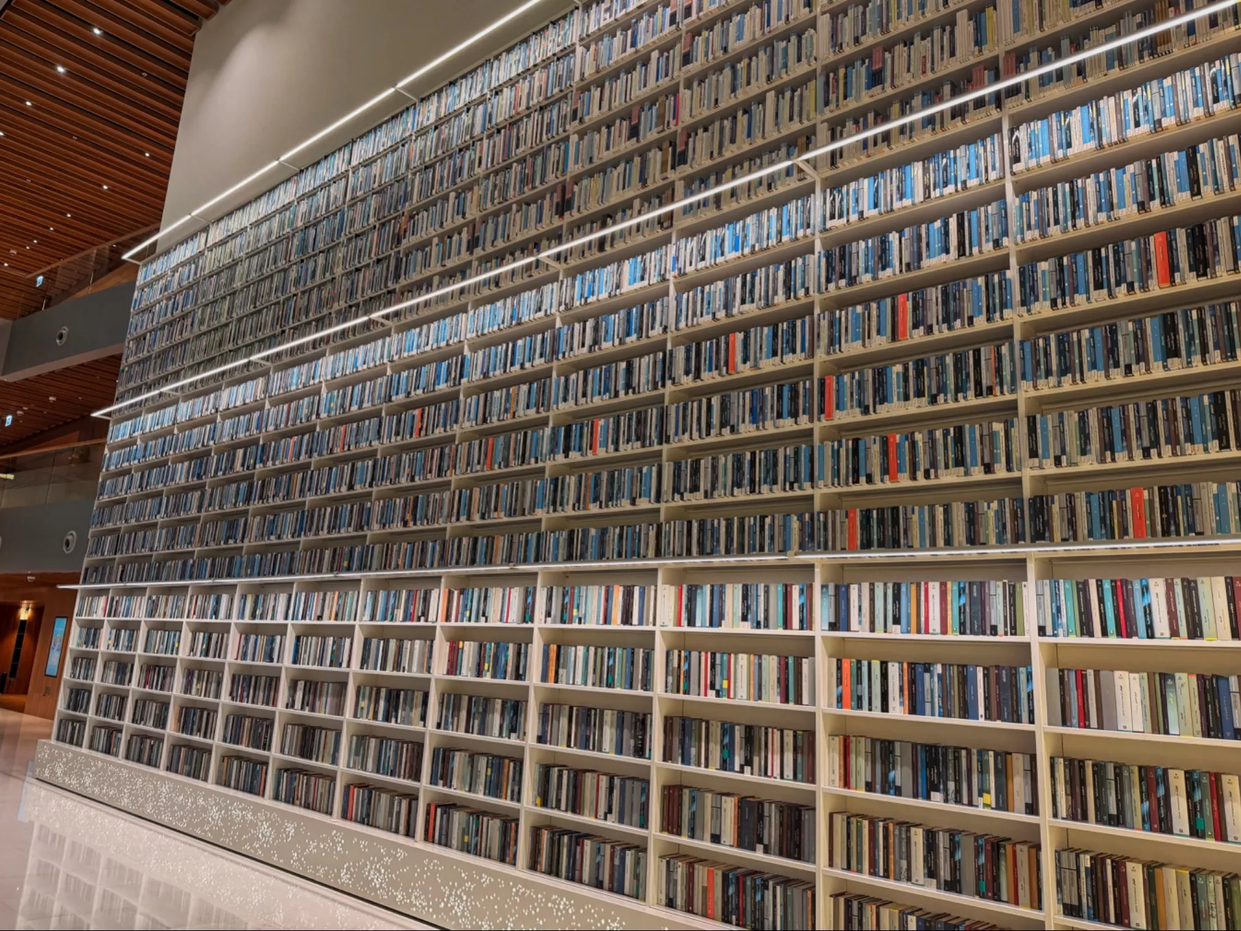 Mohammed bin Rashid Library - niezwykła biblioteka nad Dubai Creek. Kompletny przewodnik
