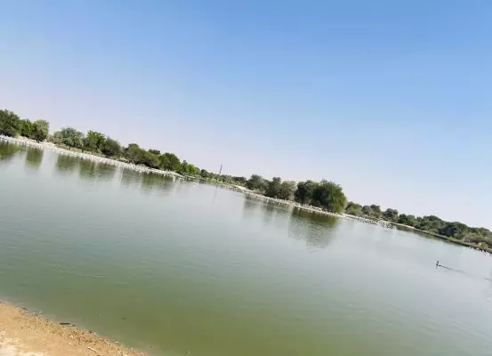 Al Qudra Lakes