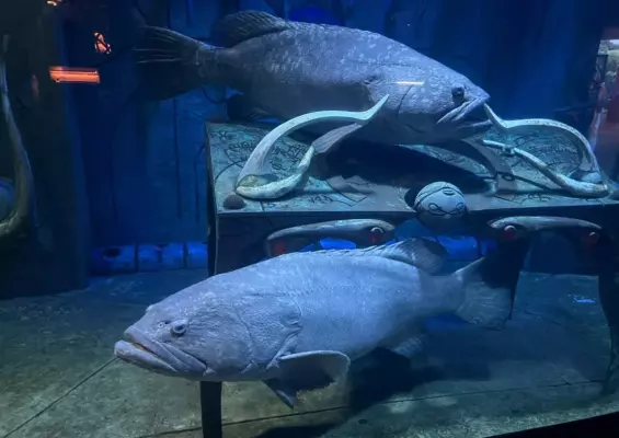 The Lost World Aquarium