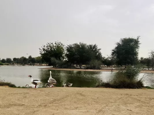Al Qudra Lakes