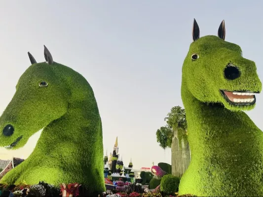 Miracle Garden Dubaj otwiera sezon już 8 października 2026!