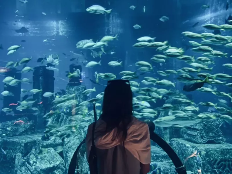 The Lost World Aquarium